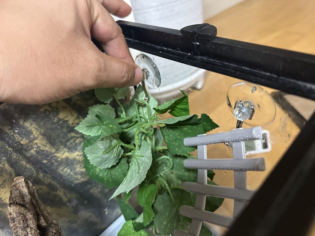 크레스티드 게코 사육장 구조물의 고정 상태를 확인하는 모습
