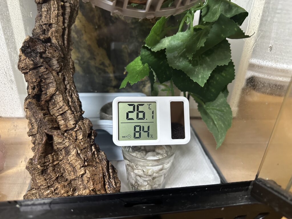 크레스티드 게코가 주로 머무는 높이에서 측정한 온도와 습도